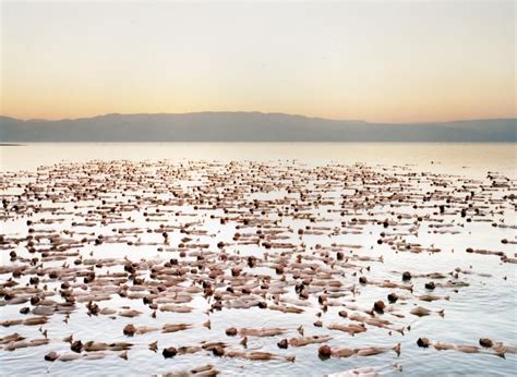 young girl nudes|The Naked World of Spencer Tunick